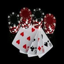 344bet
